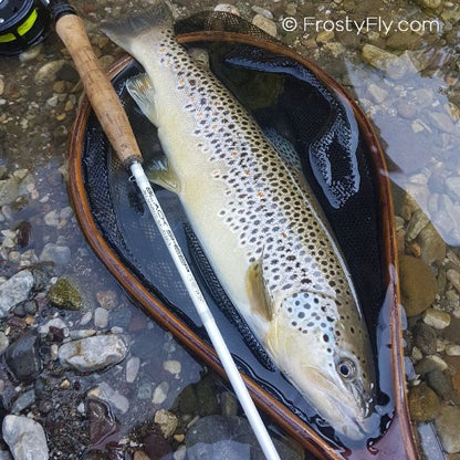 Sinapsi Black Sheep by Marco Guidici is a great Euro Nymphing rod. It is also great for dry flies and mini streamers.