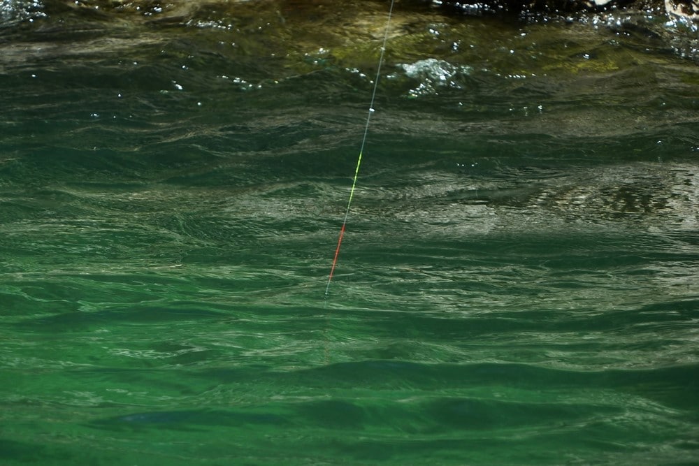 Skafars Neon Wax Indicator Tube