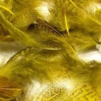 Soldarini Selected Partridge Feathers - Olive