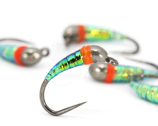 Spanish Green Bomb Nymph