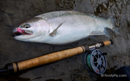 Starlite Muddler Minnow