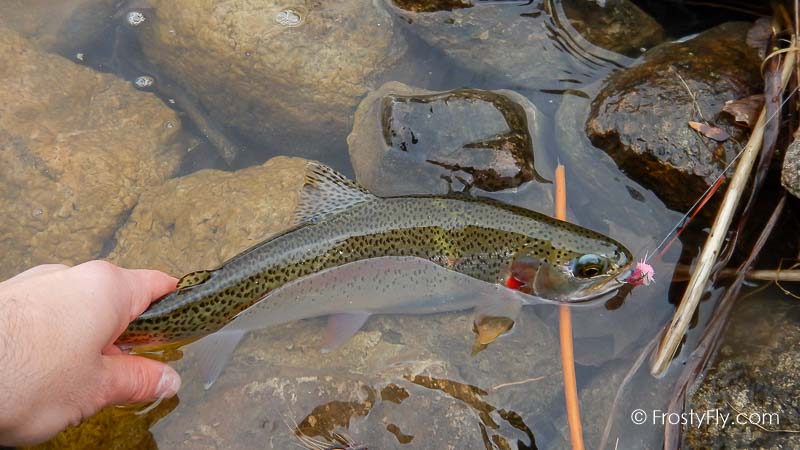 Starlite Muddler Minnow