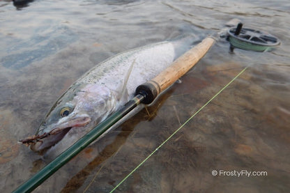 Steelhead caught on a Dark Stonefly Nymph