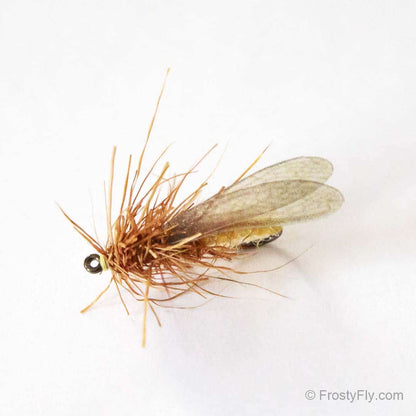Stonefly Life Cycle & Fly Fishing Stonefly Patterns - Hemingway's Stonefly tied with Hemingway's Realistic Stonefly Dry tied with Hemingway's Realistic Stonefly Dry