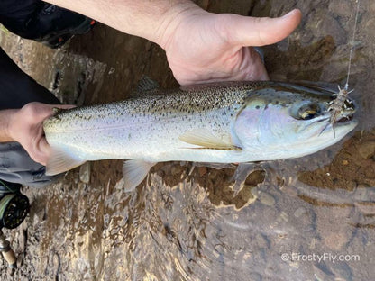 Stonefly Nymph Steelhead Fishing