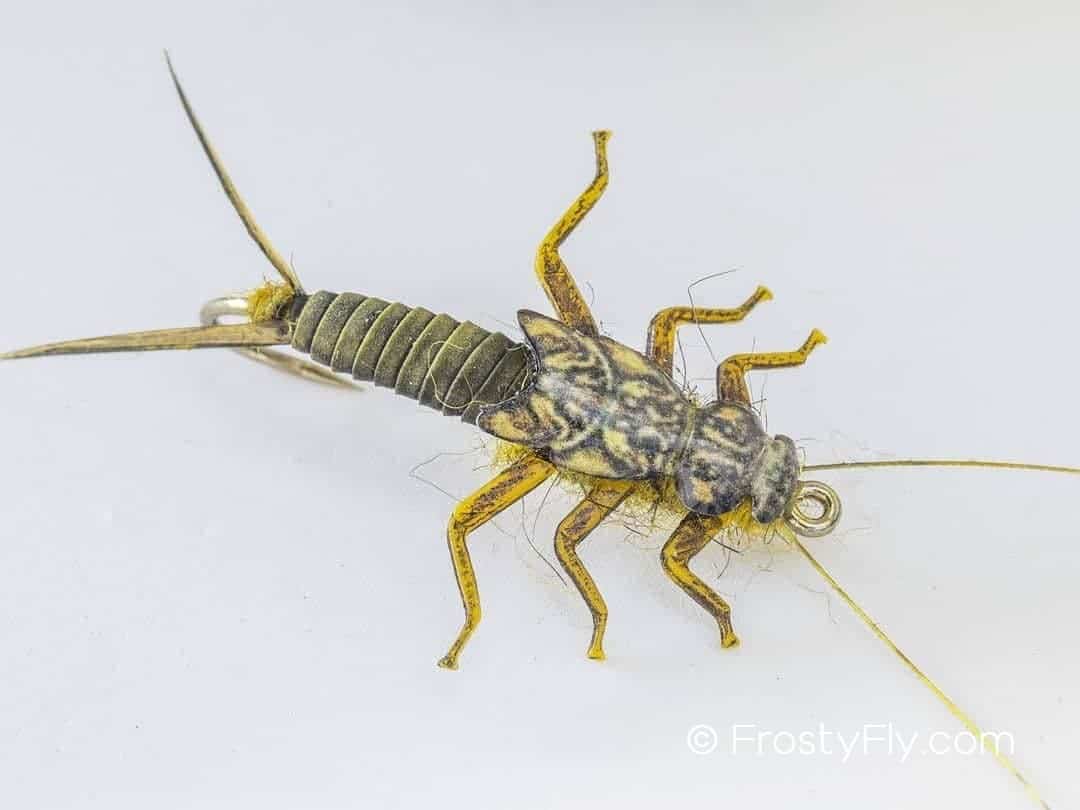 Realistic Stonefly Nymph