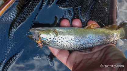 Realistic Soft Stonefly Nymph Legs