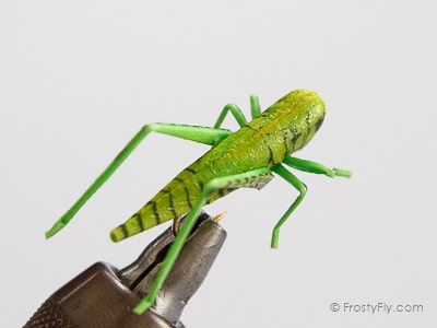 Terrestrial Flies - Green Realistic Hopper