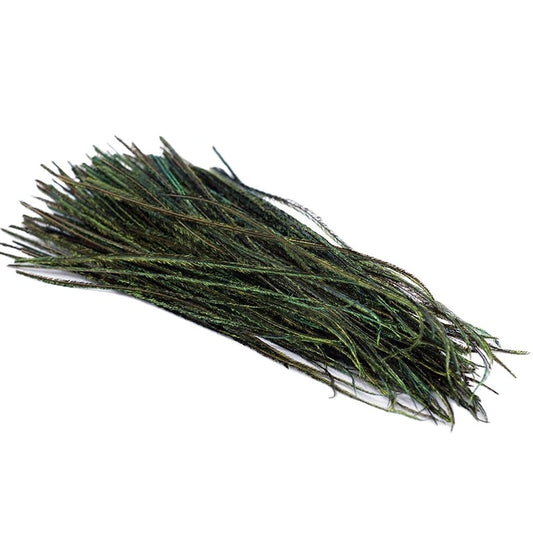 Troutline's Peacock Herl - Hand-Selected
