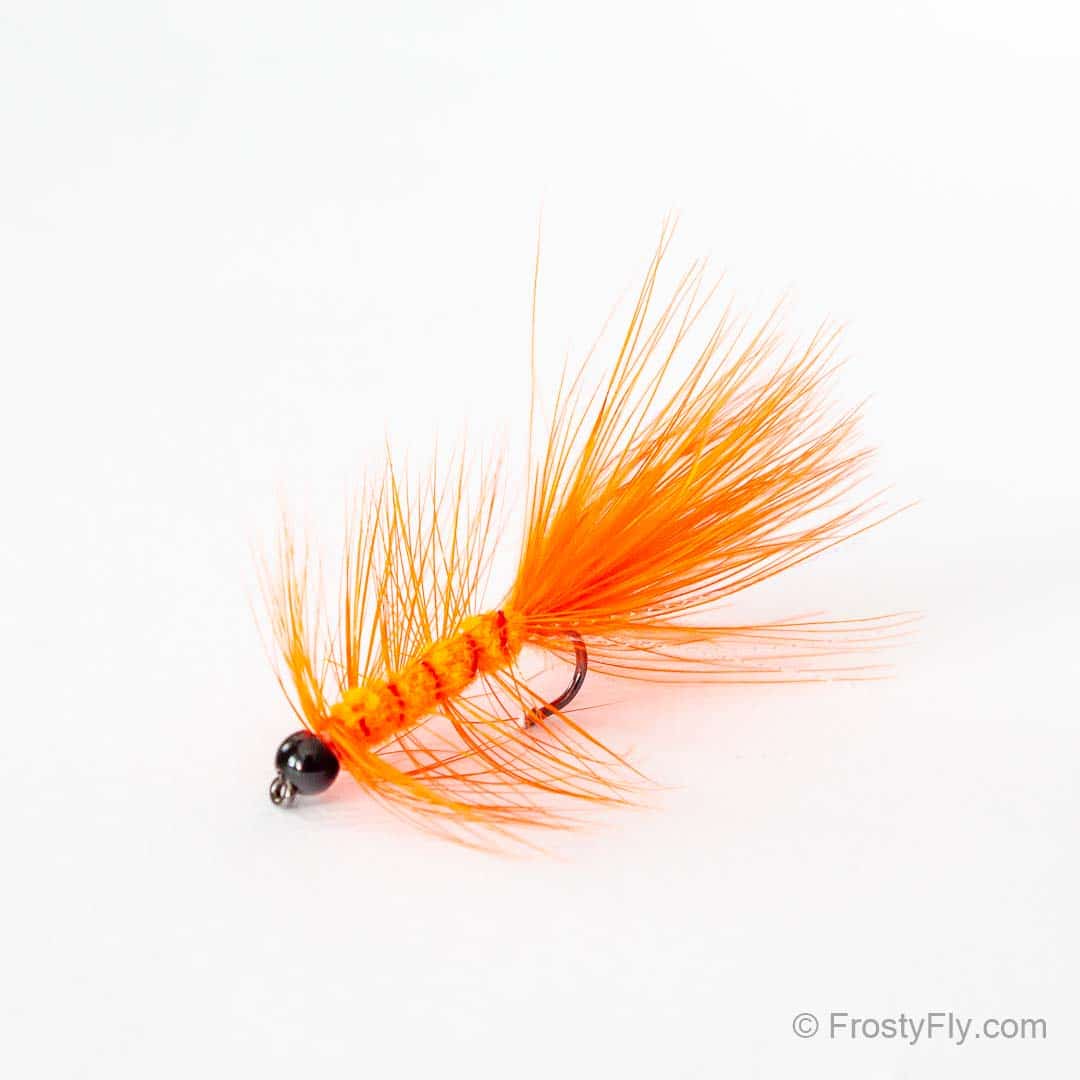 Tungsten Beadhead Woolly Bugger - Orange