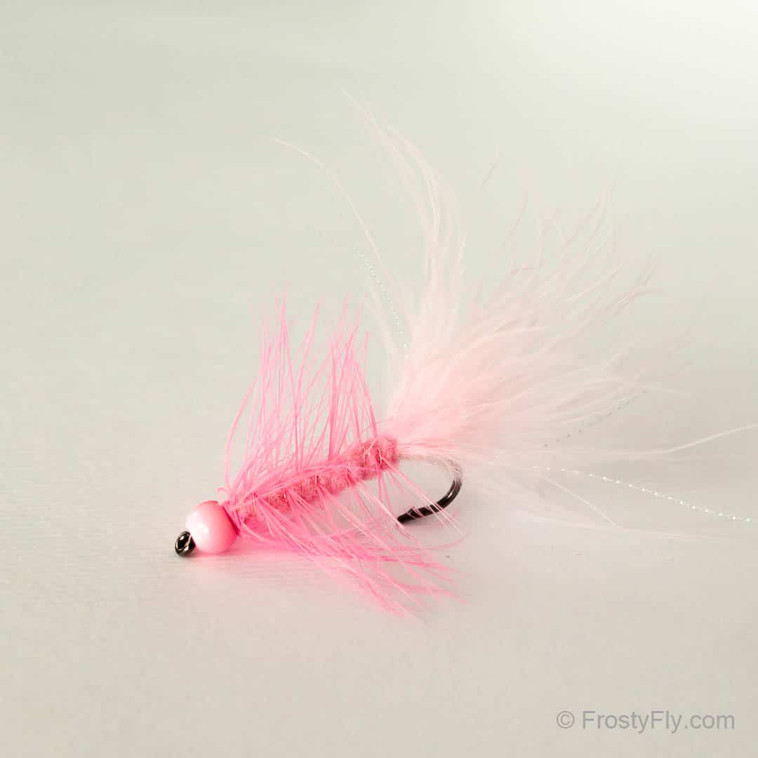Tungsten Beadhead Woolly Bugger – Frosty Fly