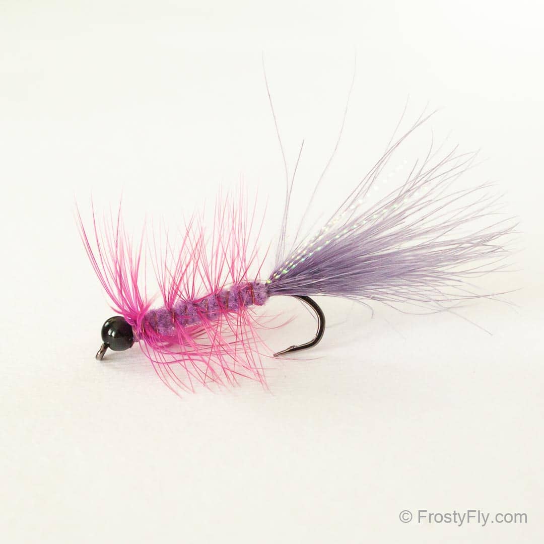 Tungsten Beadhead Woolly Bugger - Purple