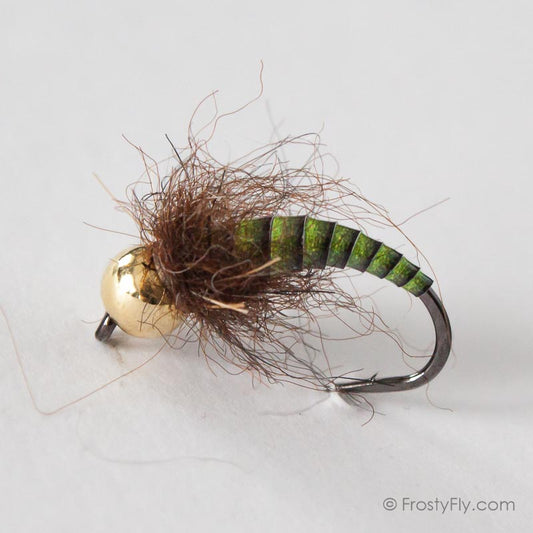 Tungsten Peacock Quill Caddis Nymph - Green