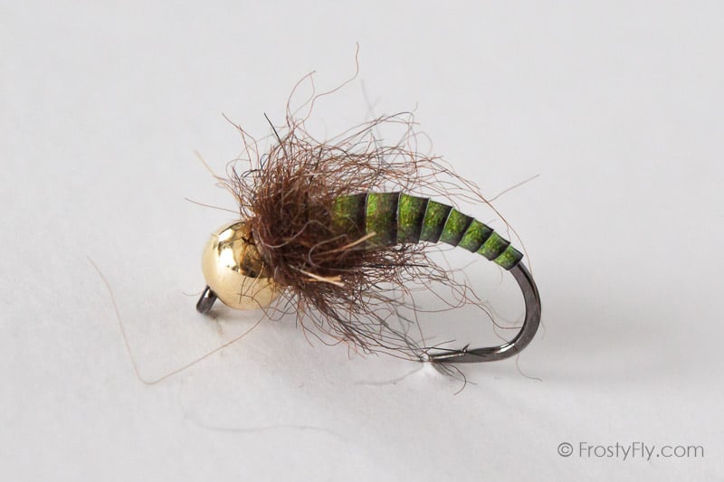 Tungsten Peacock Quill Caddis Nymph - Green