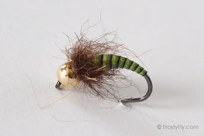 Tungsten Peacock Quill Caddis Nymph - Green