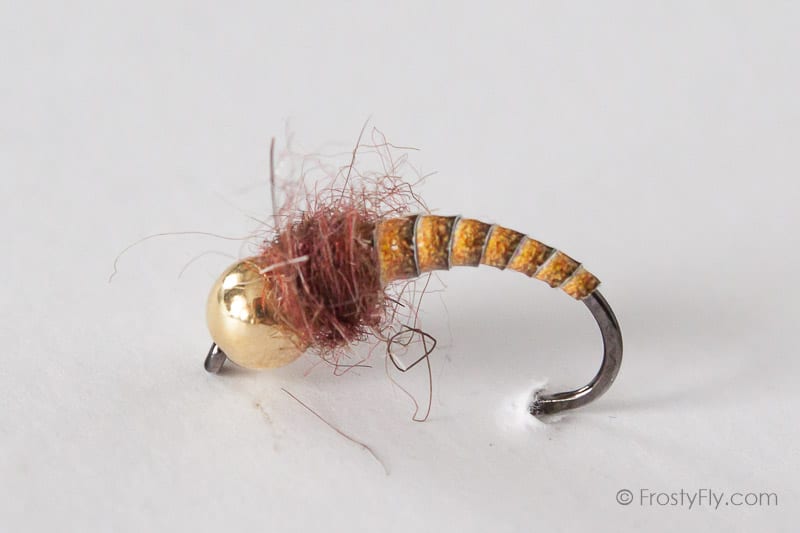 Tungsten Peacock Quill Caddis Nymph - Orange