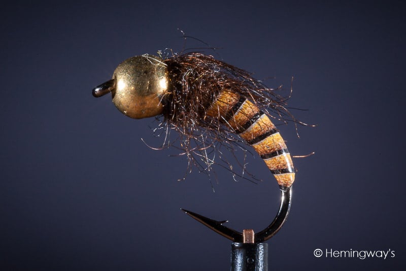 Tungsten Peacock Quill Caddis Nymph - Orange