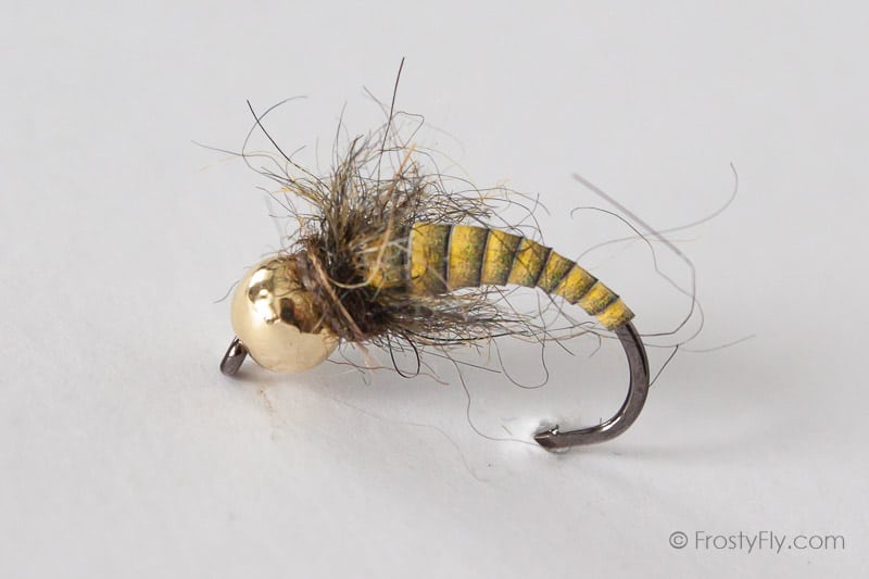 Tungsten Peacock Quill Caddis Nymph - Yellow