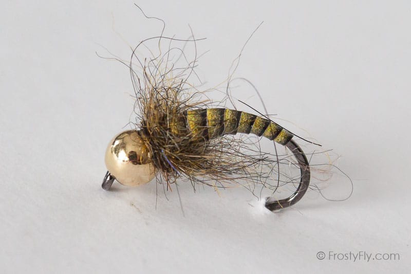 Tungsten Peacock Quill Caddis Nymph - Yellow Olive