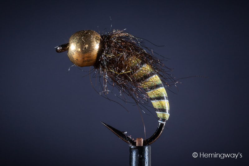 Tungsten Peacock Quill Caddis Nymph - Yellow Olive