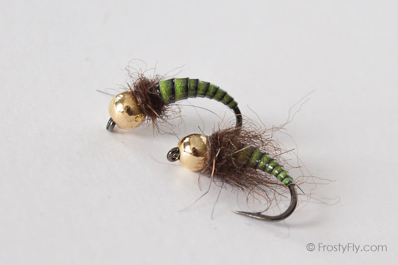 Tungsten Peacock Quill Caddis Nymphs