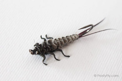 Upside Down Realistic Stonefly Nymph