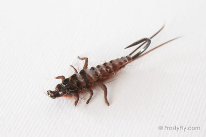 Upside Down Realistic Stonefly Nymph