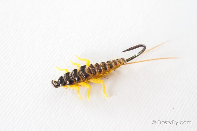 Upside Down Realistic Stonefly Nymph
