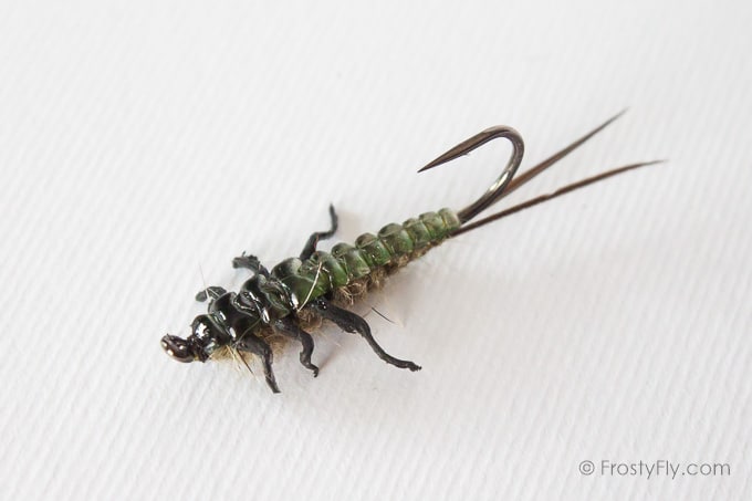 Upside Down Realistic Stonefly Nymph