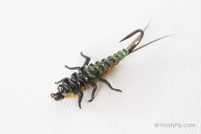 Upside Down Realistic Stonefly Nymph