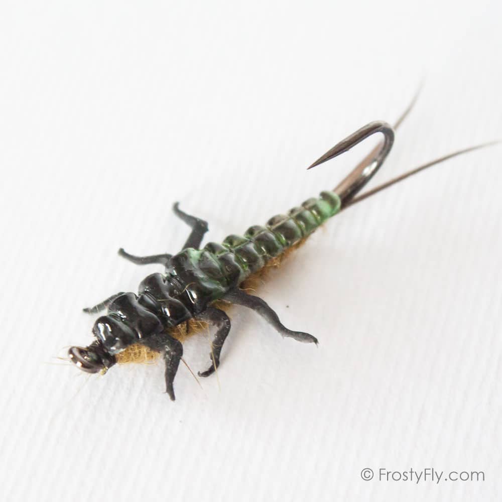 Upside Down Realistic Stonefly Nymph - Olive - Frosty Fly