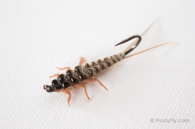 Upside Down Realistic Stonefly Nymph