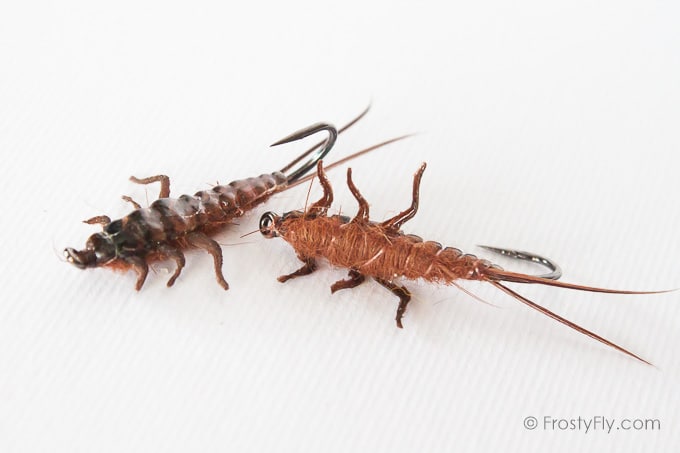 Upside Down Realistic Stonefly Nymphs - Brown