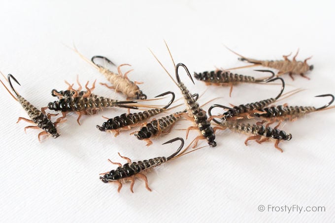 Upside Down Realistic Stonefly Nymphs - Frosty Fly