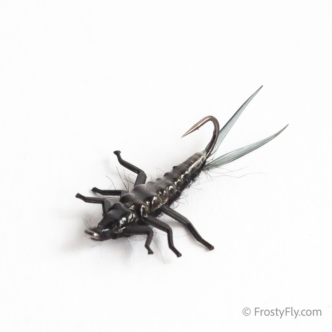 Upside Down Realistic Stonefly Nymph