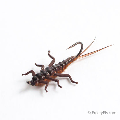 Upside Down Realistic Stonefly Nymph