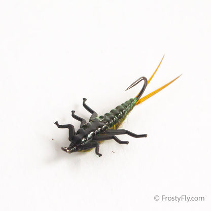 Upside Down Realistic Stonefly Nymph