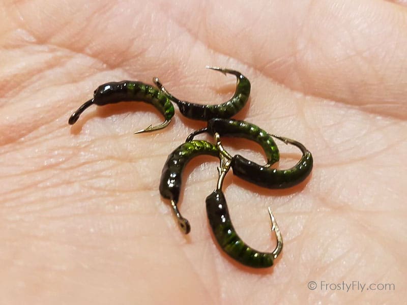 Weighted Hydropsyche Larva Bodies with Hooks - Olive