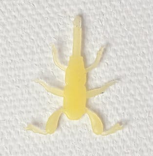 Realistic Soft Ephemera Danica Nymph Legs