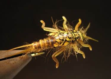 Hemingway's Stonefly Dry Variation with Legs