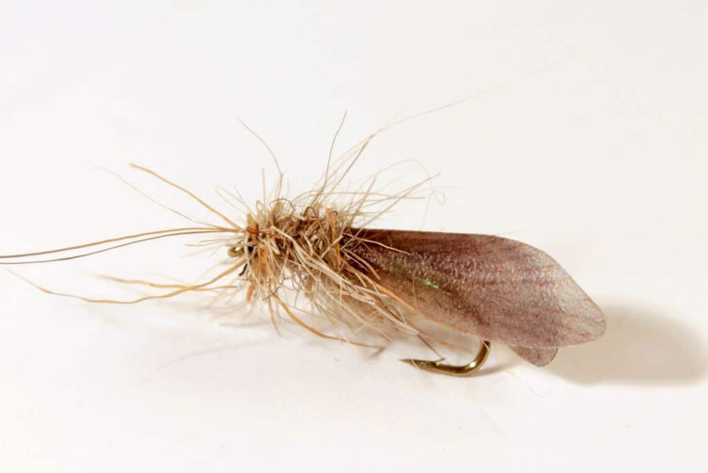 Hemingway's Realistic Caddis Wings