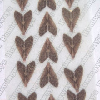 Realistic Caddis Wings