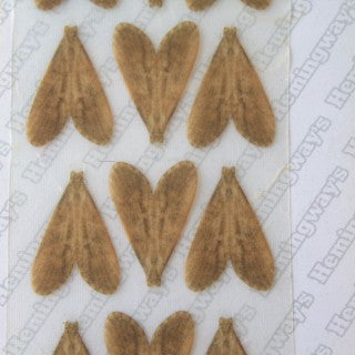 Realistic Caddis Wings