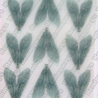 Realistic Caddis Wings