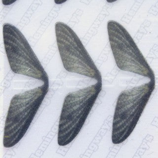 Realistic Mayfly Wings