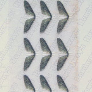 Realistic Mayfly Wings
