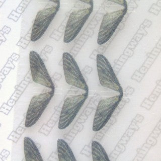 Realistic Mayfly Wings