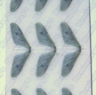Realistic Mayfly Wings
