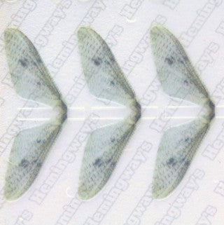Realistic Mayfly Wings