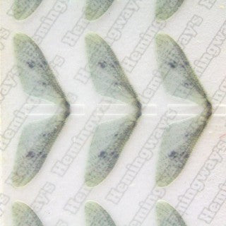 Realistic Mayfly Wings